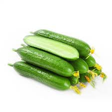 本地 青瓜仔 Local Cucumbers (草原)