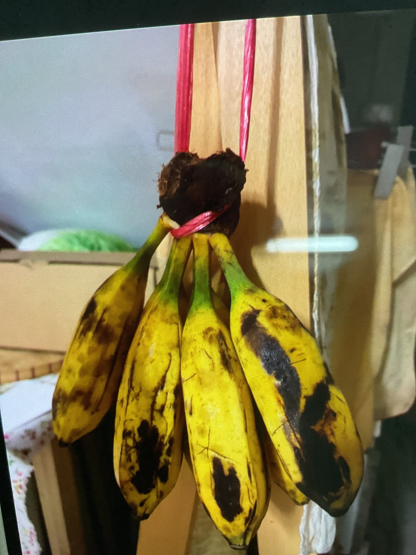 香蕉