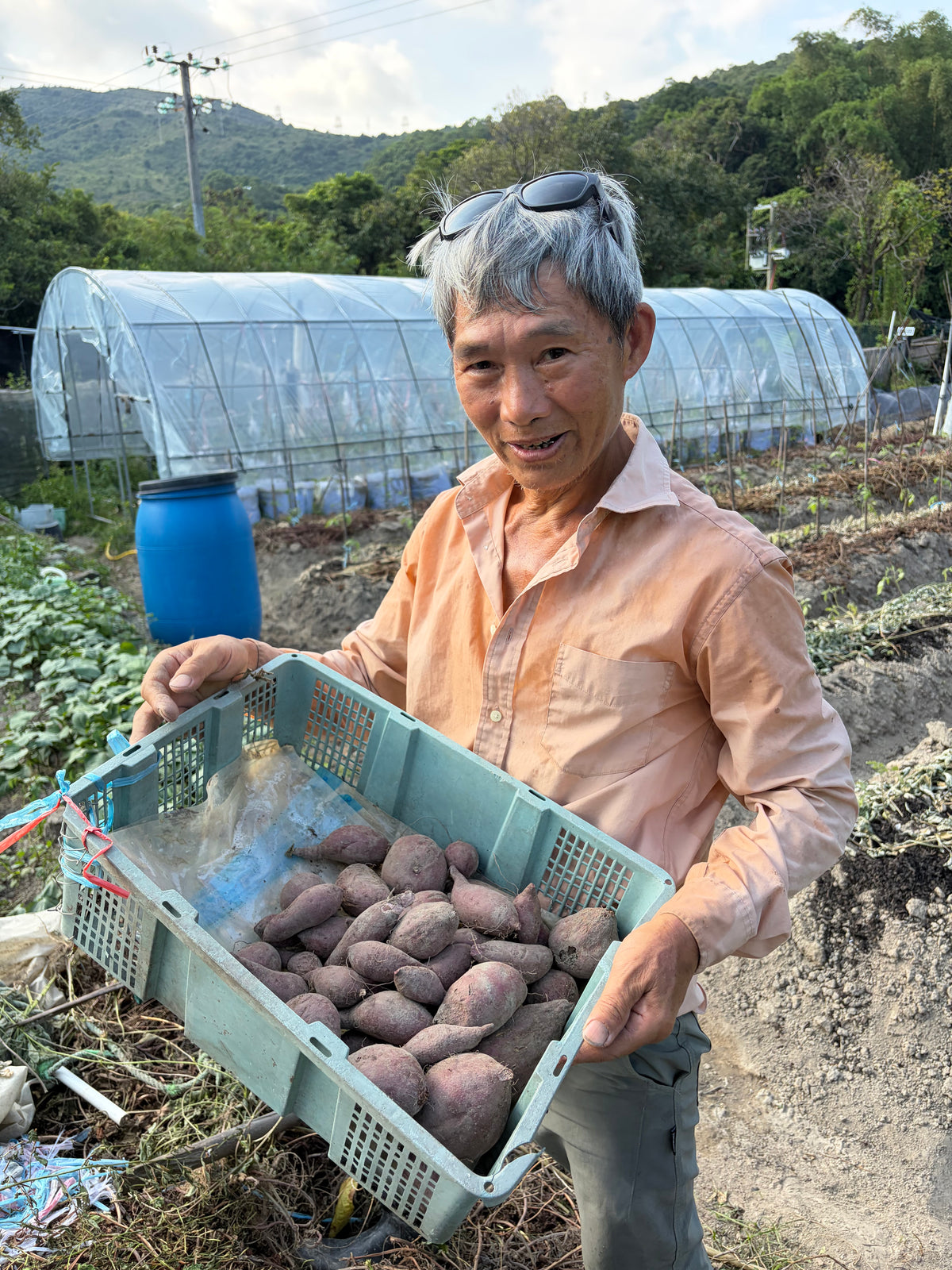 Local Seasonal Vegetable Bag 本地時令菜包
