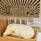 大嶼水牛 洋甘菊抗敏有機手工梘 chamomile anti-allergy organic handcrafted soap