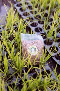 好老土禮盒 - 蓮花禮盒 Good Old Soil Gift Set丨Lotus Gift Set