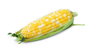 本地 白粟米 Local White Corn （草原農埸）