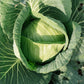 素食椰菜餓子(8隻裝) Vegetarian Cabbage Dumplings (8pcs)（國泰員工專屬 Cathay Staff Only）