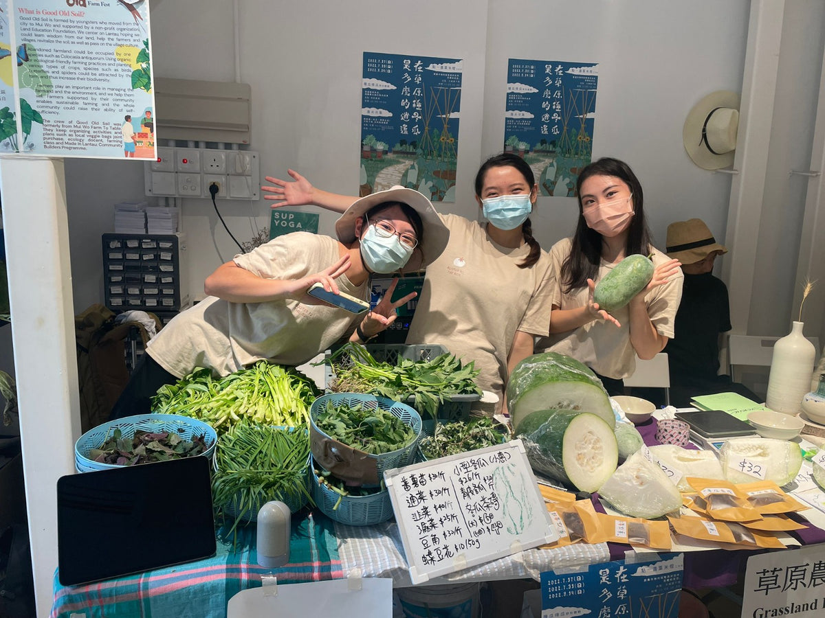 Local Seasonal Vegetable Bag 本地時令菜包