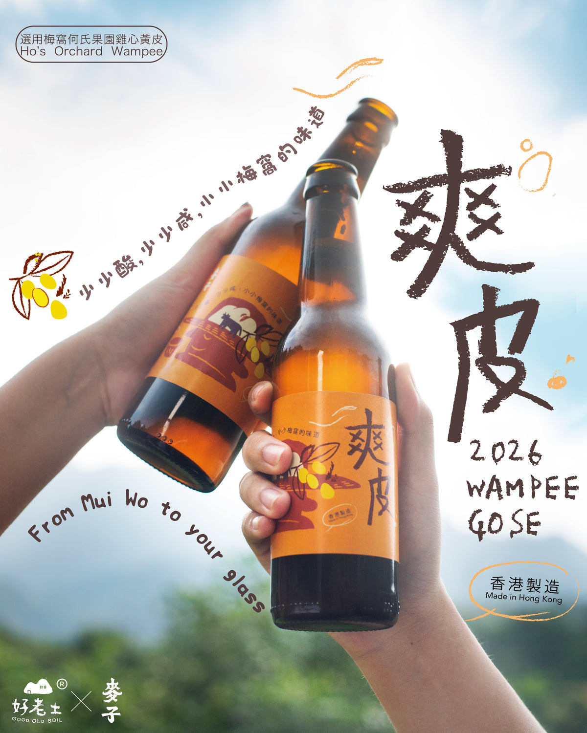 𖠚 2026 爽皮 Wampee Gose 𖠚