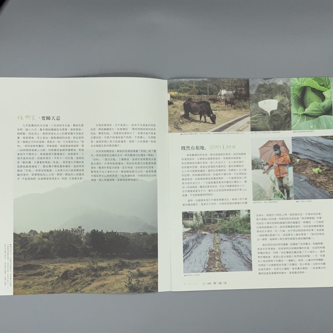 大嶼食通信 椰菜 第二期 （雜誌）